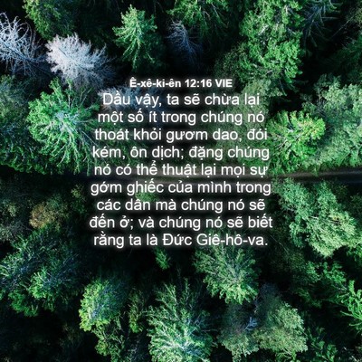 Picture 04 - Ê-xê-ki-ên 12:16 VIE - Dầu vậy, ta sẽ chừa lại một số ít - Bible Verse Picture