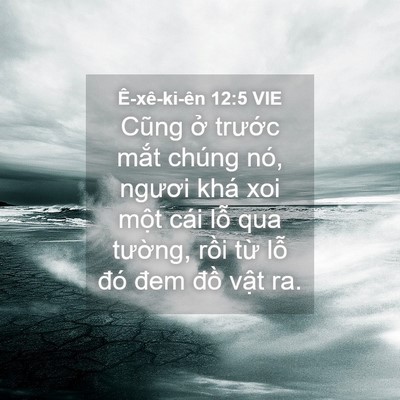 Picture 04 - Ê-xê-ki-ên 12:5 VIE - Cũng ở trước mắt chúng nó, ngươi khá - Bible Verse Picture