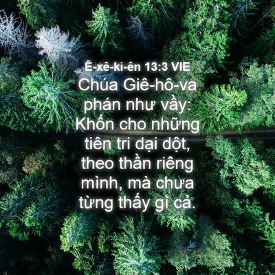 Picture 04 - Ê-xê-ki-ên 13:3 VIE - Chúa Giê-hô-va phán như vầy: Khốn cho - Bible Verse Picture