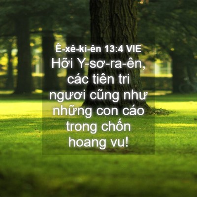 Picture 04 - Ê-xê-ki-ên 13:4 VIE - Hỡi Y-sơ-ra-ên, các tiên tri ngươi cũng - Bible Verse Picture