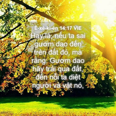 Picture 04 - Ê-xê-ki-ên 14:17 VIE - Hay là, nếu ta sai gươm dao đến trên - Bible Verse Picture