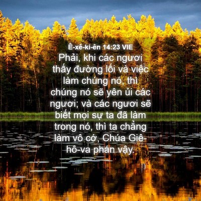 Picture 04 - Ê-xê-ki-ên 14:23 VIE - Phải, khi các ngươi thấy đường lối - Bible Verse Picture