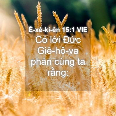 Picture 04 - Ê-xê-ki-ên 15:1 VIE - Có lời Đức Giê-hô-va phán cùng ta - Bible Verse Picture