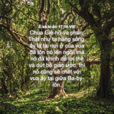 Picture 04 - Ê-xê-ki-ên 17:16 VIE - Chúa Giê-hô-va phán: Thật như ta hằng - Bible Verse Picture
