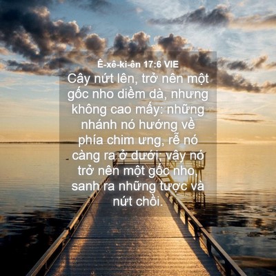 Picture 04 - Ê-xê-ki-ên 17:6 VIE - Cây nứt lên, trở nên một gốc nho - Bible Verse Picture
