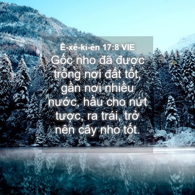 Picture 04 - Ê-xê-ki-ên 17:8 VIE - Gốc nho đã được trồng nơi đất - Bible Verse Picture
