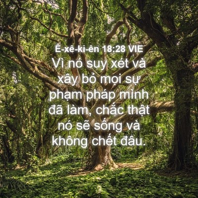 Picture 04 - Ê-xê-ki-ên 18:28 VIE - Vì nó suy xét và xây bỏ mọi sự phạm - Bible Verse Picture
