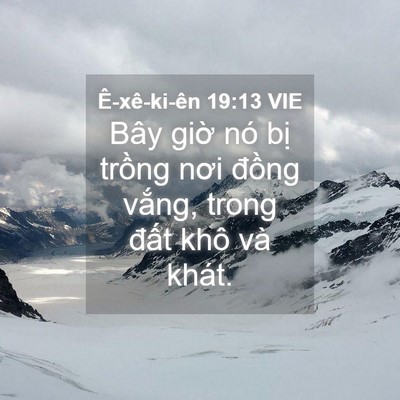 Picture 04 - Ê-xê-ki-ên 19:13 VIE - Bây giờ nó bị trồng nơi đồng vắng, - Bible Verse Picture