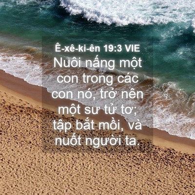 Picture 04 - Ê-xê-ki-ên 19:3 VIE - Nuôi nấng một con trong các con nó, trở - Bible Verse Picture