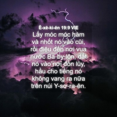 Picture 04 - Ê-xê-ki-ên 19:9 VIE - Lấy móc móc hàm và nhốt nó vào cũi, - Bible Verse Picture