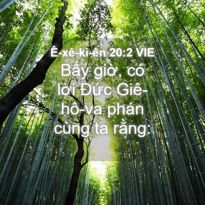 Picture 04 - Ê-xê-ki-ên 20:2 VIE - Bấy giờ, có lời Đức Giê-hô-va phán - Bible Verse Picture