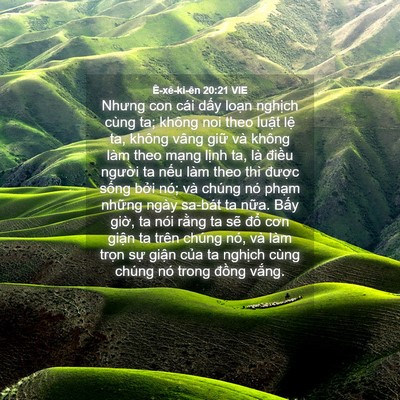 Picture 04 - Ê-xê-ki-ên 20:21 VIE - Nhưng con cái dấy loạn nghịch cùng ta; - Bible Verse Picture