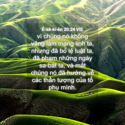 Picture 04 - Ê-xê-ki-ên 20:24 VIE - vì chúng nó không vâng làm mạng lịnh - Bible Verse Picture