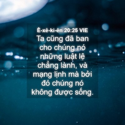 Picture 04 - Ê-xê-ki-ên 20:25 VIE - Ta cũng đã ban cho chúng nó những luật - Bible Verse Picture