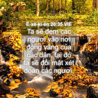 Picture 04 - Ê-xê-ki-ên 20:35 VIE - Ta sẽ đem các ngươi vào nơi đồng - Bible Verse Picture