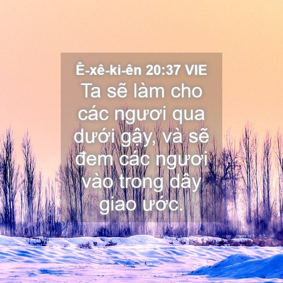 Picture 04 - Ê-xê-ki-ên 20:37 VIE - Ta sẽ làm cho các ngươi qua dưới gậy, - Bible Verse Picture