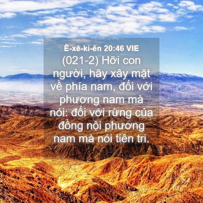 Picture 04 - Ê-xê-ki-ên 20:46 VIE - (021-2) Hỡi con người, hãy xây mặt về - Bible Verse Picture