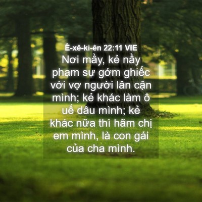 Picture 04 - Ê-xê-ki-ên 22:11 VIE - Nơi mầy, kẻ nầy phạm sự gớm ghiếc - Bible Verse Picture