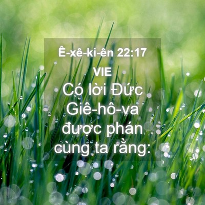 Picture 04 - Ê-xê-ki-ên 22:17 VIE - Có lời Đức Giê-hô-va được phán cùng - Bible Verse Picture