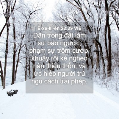 Picture 04 - Ê-xê-ki-ên 22:29 VIE - Dân trong đất làm sự bạo ngược, - Bible Verse Picture