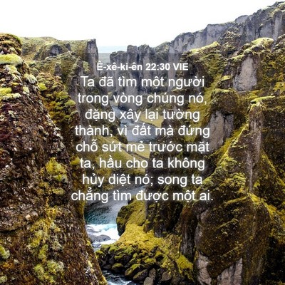 Picture 04 - Ê-xê-ki-ên 22:30 VIE - Ta đã tìm một người trong vòng chúng - Bible Verse Picture