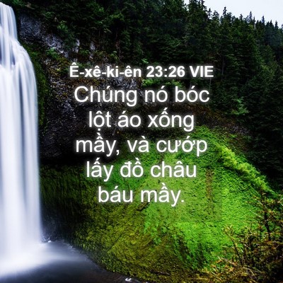 Picture 04 - Ê-xê-ki-ên 23:26 VIE - Chúng nó bóc lột áo xống mầy, và - Bible Verse Picture