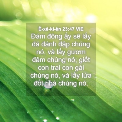 Picture 04 - Ê-xê-ki-ên 23:47 VIE - Đám đông ấy sẽ lấy đá đánh đập - Bible Verse Picture