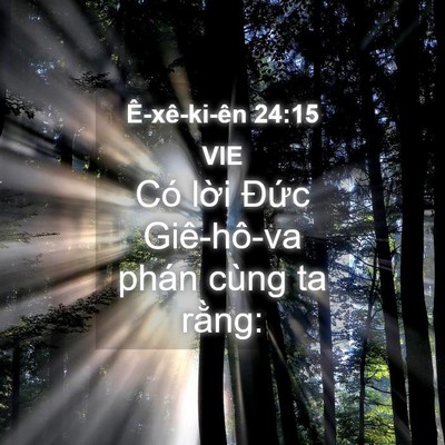 Picture 04 - Ê-xê-ki-ên 24:15 VIE - Có lời Đức Giê-hô-va phán cùng ta - Bible Verse Picture