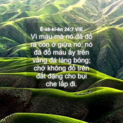 Picture 04 - Ê-xê-ki-ên 24:7 VIE - Vì máu mà nó đã đổ ra còn ở giữa - Bible Verse Picture
