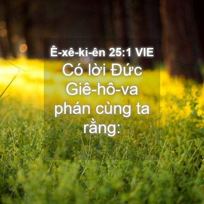 Picture 04 - Ê-xê-ki-ên 25:1 VIE - Có lời Đức Giê-hô-va phán cùng ta - Bible Verse Picture