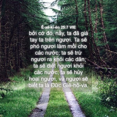 Picture 04 - Ê-xê-ki-ên 25:7 VIE - bởi cớ đó, nầy, ta đã giá tay ta trên - Bible Verse Picture