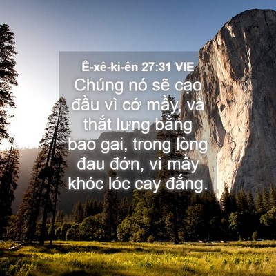 Picture 04 - Ê-xê-ki-ên 27:31 VIE - Chúng nó sẽ cạo đầu vì cớ mầy, và - Bible Verse Picture