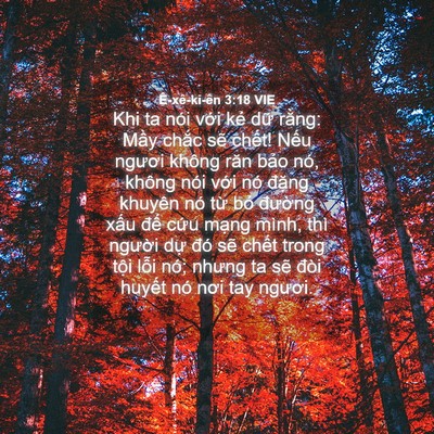 Picture 04 - Ê-xê-ki-ên 3:18 VIE - Khi ta nói với kẻ dữ rằng: Mầy chắc - Bible Verse Picture
