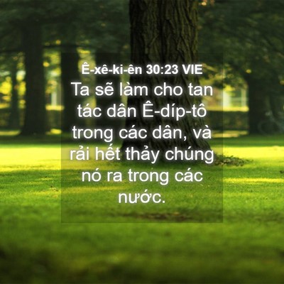 Picture 04 - Ê-xê-ki-ên 30:23 VIE - Ta sẽ làm cho tan tác dân Ê-díp-tô trong - Bible Verse Picture