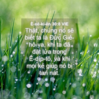 Picture 04 - Ê-xê-ki-ên 30:8 VIE - Thật, chúng nó sẽ biết ta là Đức - Bible Verse Picture
