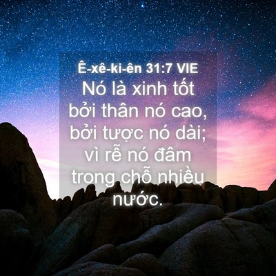 Picture 04 - Ê-xê-ki-ên 31:7 VIE - Nó là xinh tốt bởi thân nó cao, bởi - Bible Verse Picture
