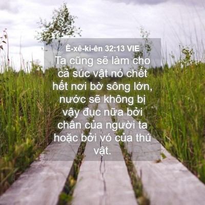 Picture 04 - Ê-xê-ki-ên 32:13 VIE - Ta cũng sẽ làm cho cả súc vật nó chết - Bible Verse Picture