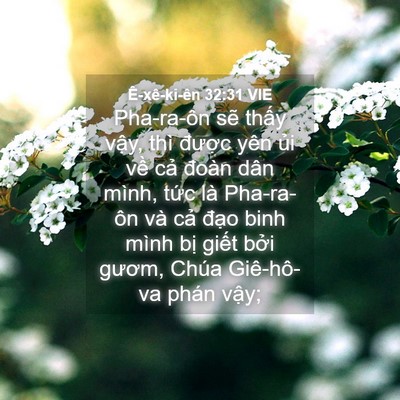 Picture 04 - Ê-xê-ki-ên 32:31 VIE - Pha-ra-ôn sẽ thấy vậy, thì được yên - Bible Verse Picture