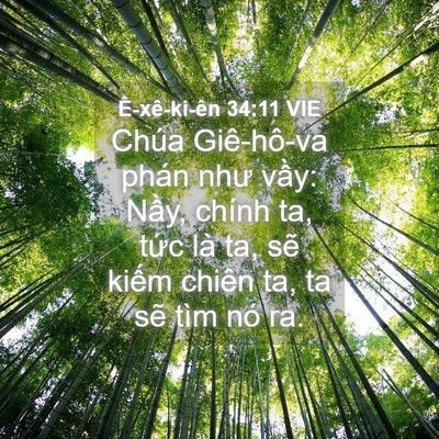 Picture 04 - Ê-xê-ki-ên 34:11 VIE - Chúa Giê-hô-va phán như vầy: Nầy, chính - Bible Verse Picture