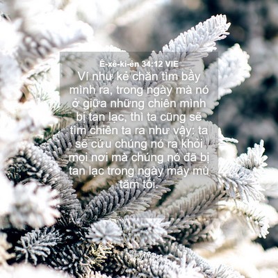 Picture 04 - Ê-xê-ki-ên 34:12 VIE - Ví như kẻ chăn tìm bầy mình ra, trong - Bible Verse Picture