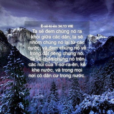 Picture 04 - Ê-xê-ki-ên 34:13 VIE - Ta sẽ đem chúng nó ra khỏi giữa các - Bible Verse Picture