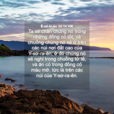 Picture 04 - Ê-xê-ki-ên 34:14 VIE - Ta sẽ chăn chúng nó trong những đồng - Bible Verse Picture