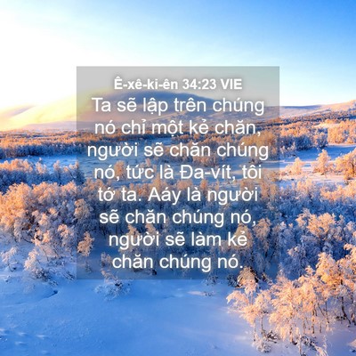 Picture 04 - Ê-xê-ki-ên 34:23 VIE - Ta sẽ lập trên chúng nó chỉ một kẻ - Bible Verse Picture