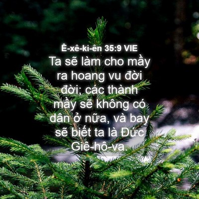 Picture 04 - Ê-xê-ki-ên 35:9 VIE - Ta sẽ làm cho mầy ra hoang vu đời đời; - Bible Verse Picture