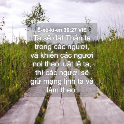 Picture 04 - Ê-xê-ki-ên 36:27 VIE - Ta sẽ đặt Thần ta trong các ngươi, và - Bible Verse Picture