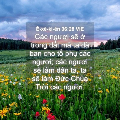 Picture 04 - Ê-xê-ki-ên 36:28 VIE - Các ngươi sẽ ở trong đất mà ta đã - Bible Verse Picture