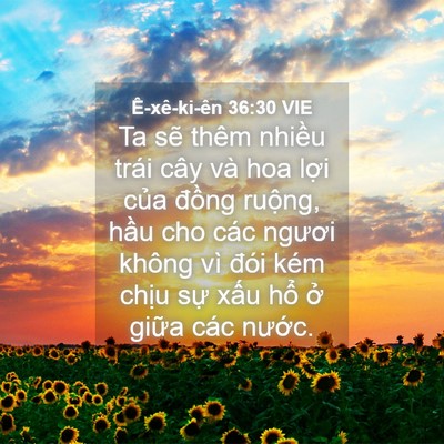 Picture 04 - Ê-xê-ki-ên 36:30 VIE - Ta sẽ thêm nhiều trái cây và hoa lợi - Bible Verse Picture
