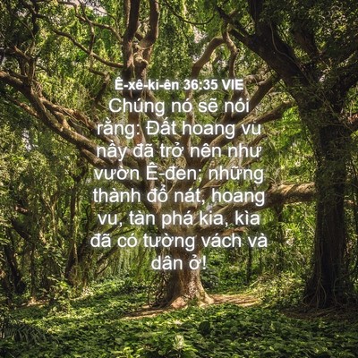 Picture 04 - Ê-xê-ki-ên 36:35 VIE - Chúng nó sẽ nói rằng: Đất hoang vu - Bible Verse Picture