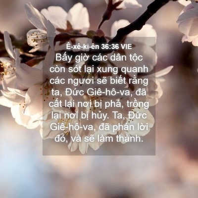 Picture 04 - Ê-xê-ki-ên 36:36 VIE - Bấy giờ các dân tộc còn sót lại xung - Bible Verse Picture
