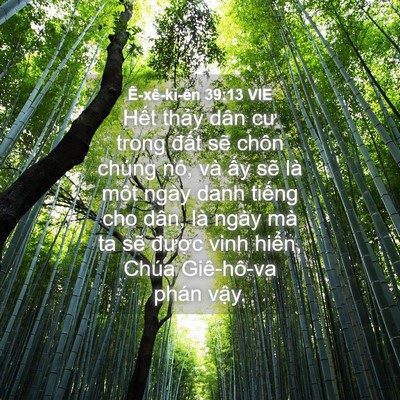Picture 04 - Ê-xê-ki-ên 39:13 VIE - Hết thảy dân cư trong đất sẽ chôn - Bible Verse Picture
